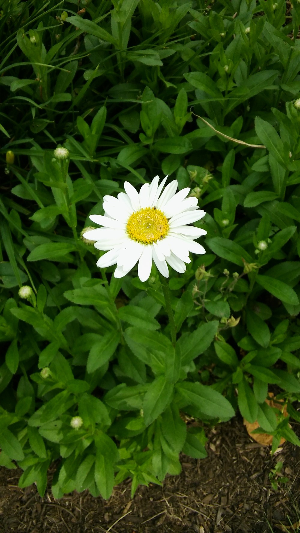 20160621_165551